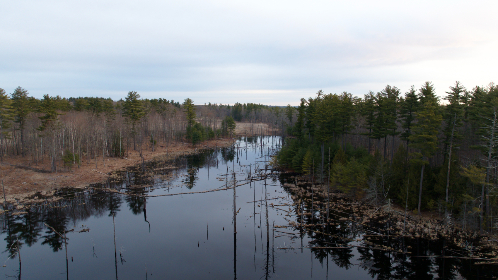 124期开奖结果揭晓,最新中奖号码全面公布 124期开奖结果揭晓,最新中奖号码全面公布