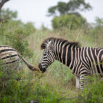 31日开奖倒计时,幸运大奖花落谁家? 37v89b8