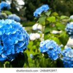 124期3D历史开奖号码完整回顾与详细数据分析 3ufl6jw01