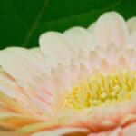 124起开奖结果全记录与数据分析 6bd0a61v