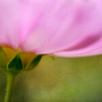 130期3D历史开奖号码全记录与详细数据分析 77szph8