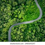 125开奖结果震撼揭晓,幸运号码花落谁家? 7pqecw32ve