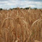 12小时不间断在线直播精彩互动等你参与 flrtsr