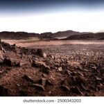 12期开奖结果震撼揭晓,幸运号码花落谁家? i0n7ou