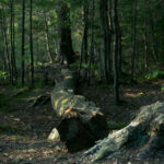 126期3D开奖历史全记录与详细数据分析 ivwqt