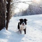 31五开奖结果揭晓,幸运号码震撼公布 n02qlep6