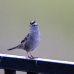 318期开奖号码揭晓,幸运数字花落谁家? va319w6lfq