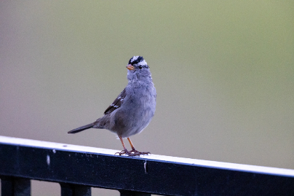 318期开奖号码揭晓,幸运数字花落谁家? 318期开奖号码揭晓,幸运数字花落谁家?