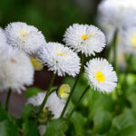 31d开奖结果震撼揭晓,幸运得主即将诞生 zi2q1cvm20